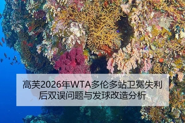 gao-fu-nian-duo-lun-duo-zhan-wei-mian-shi-li-hou-shuang-wu-wen-ti-yu-fa-qiu-gai-zao-fen-xi-2-251.jpg
